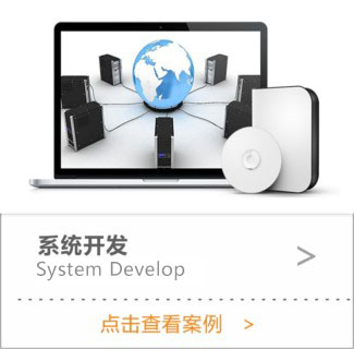 系統(tǒng)開發(fā)